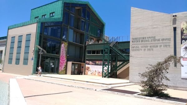 Musée d'Histoire Naturelle de Crète – géologie, faune et écosystèmes méditerranéens